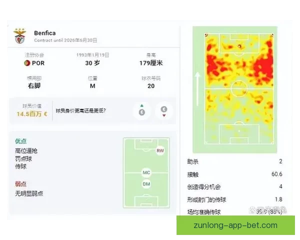 掌握世界杯竞猜胜负技巧从数据分析到临场判断全面提升预测准确率策略指南
