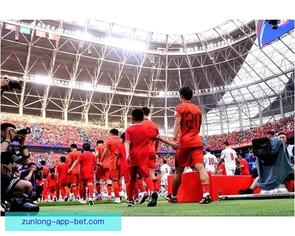 尊龙的演艺之路与人生经历探析如何成为国际影坛传奇人物