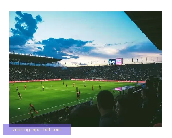 2026年世界杯举办城市全景解析 各地独特魅力与赛事准备全揭秘