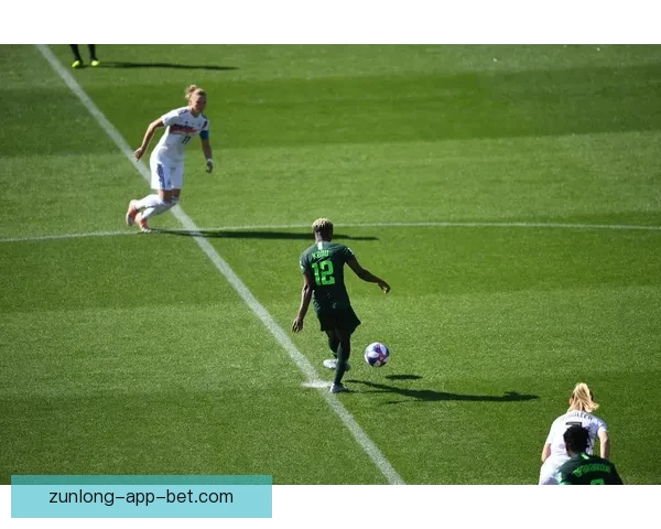 2026年世界杯足球赛：全球盛宴开启，16强争霸新纪元